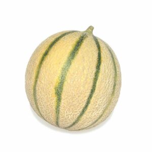 Melon (gros calibre)