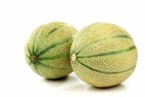 Melons gros calibre (x2)