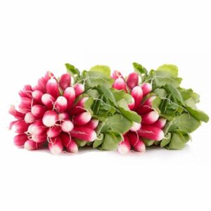 Radis duo Rose / Rose