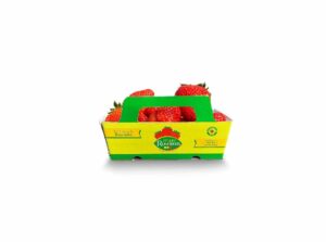 Fraises Charlotte (250g)