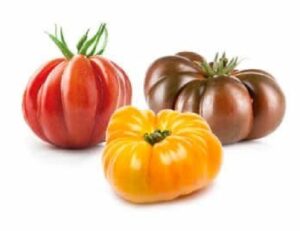 Tomates D'antan (mix 1,5kg)