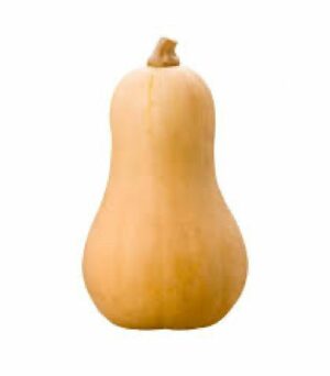 Courge Butternut XL (pièce)