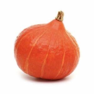 Courge Potimarron